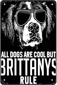Собаки Крутые, Но Бриттани-Спаниели Правят Забавными Металлическими 8 