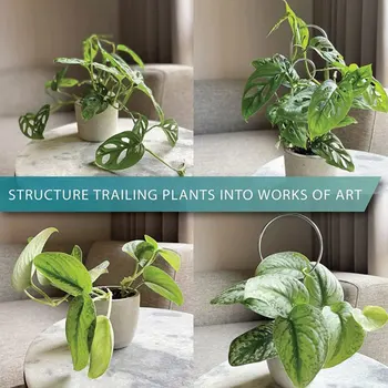 Геометрическая металлическая решетка для растений из 4 предметов, Прочная Металлическая опорная рама для растений в саду и теплице, распродажа