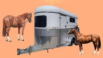 Австралийский стандартный прицеп для перевозки лошадей с прямой загрузкой на 2 лошади по индивидуальному заказу с живой Аэрой